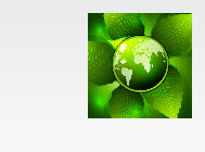 Eco - Groene artikelen