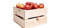 Fruitkist middel incl. 50 appels met logo Fruitkist middel incl. 50 appels met logo