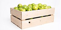 Fruitkist groot incl. 100 appels met logo Fruitkist groot incl. 100 appels met logo