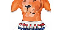 T-shirt kussen Holland T-shirt kussen Holland